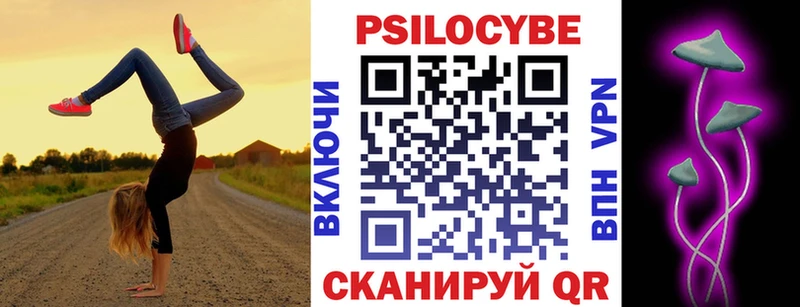 Галлюциногенные грибы Psilocybe  Купить где  Вятские Поляны 