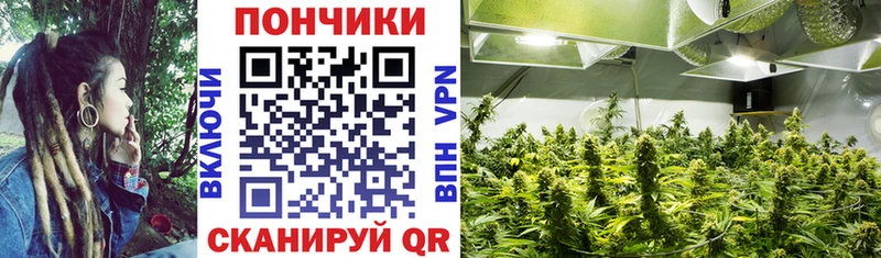 МАРИХУАНА сатива  Купить закладки  Вятские Поляны 